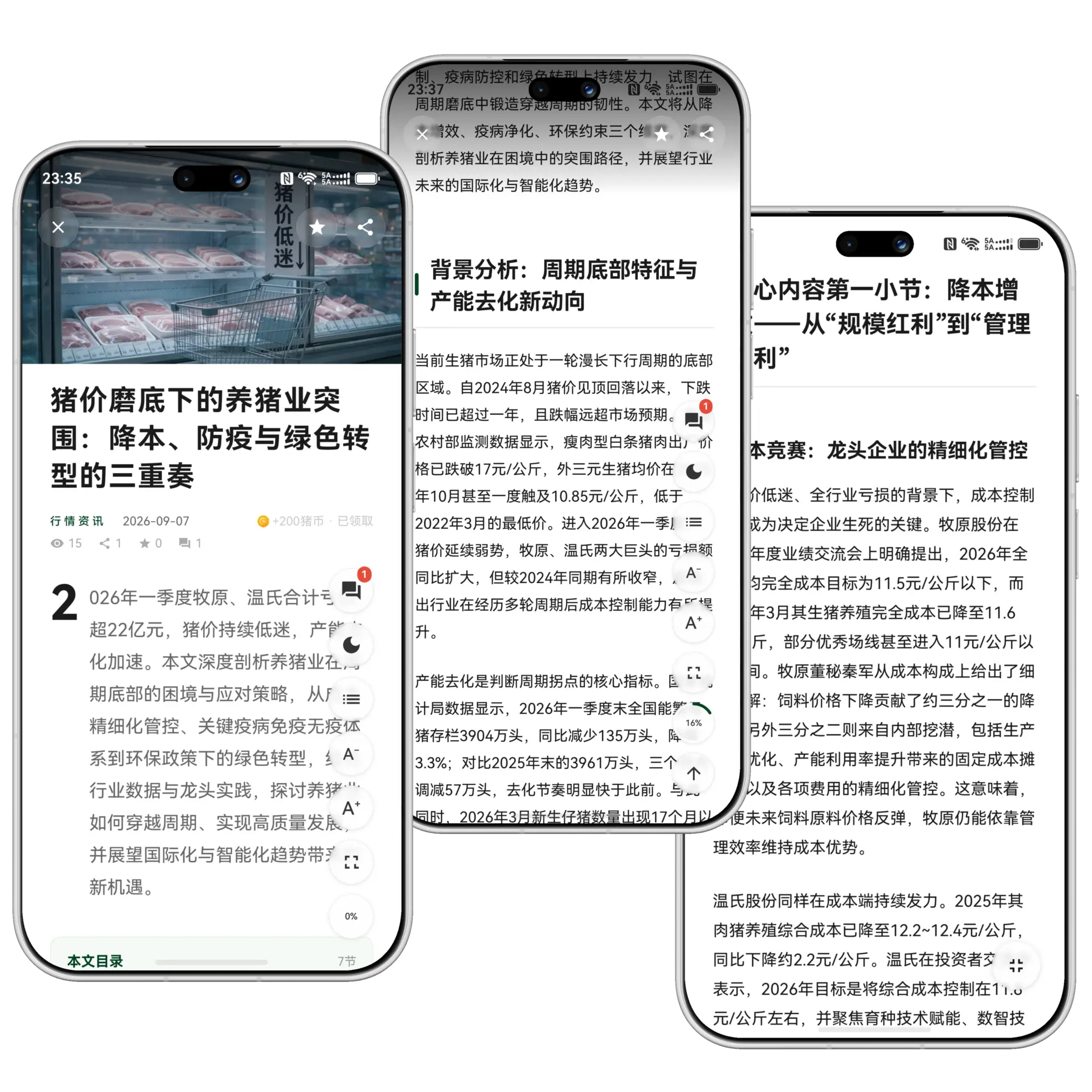沉浸式阅读